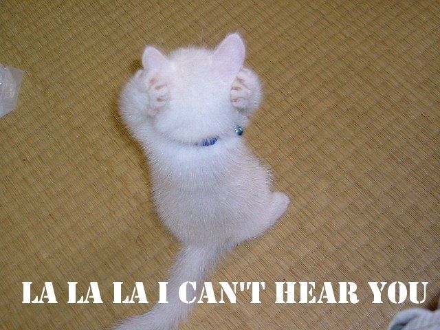 Name:  Lalala_Cant_Hear_Cat.jpg
Views: 639
Size:  70.3 KB