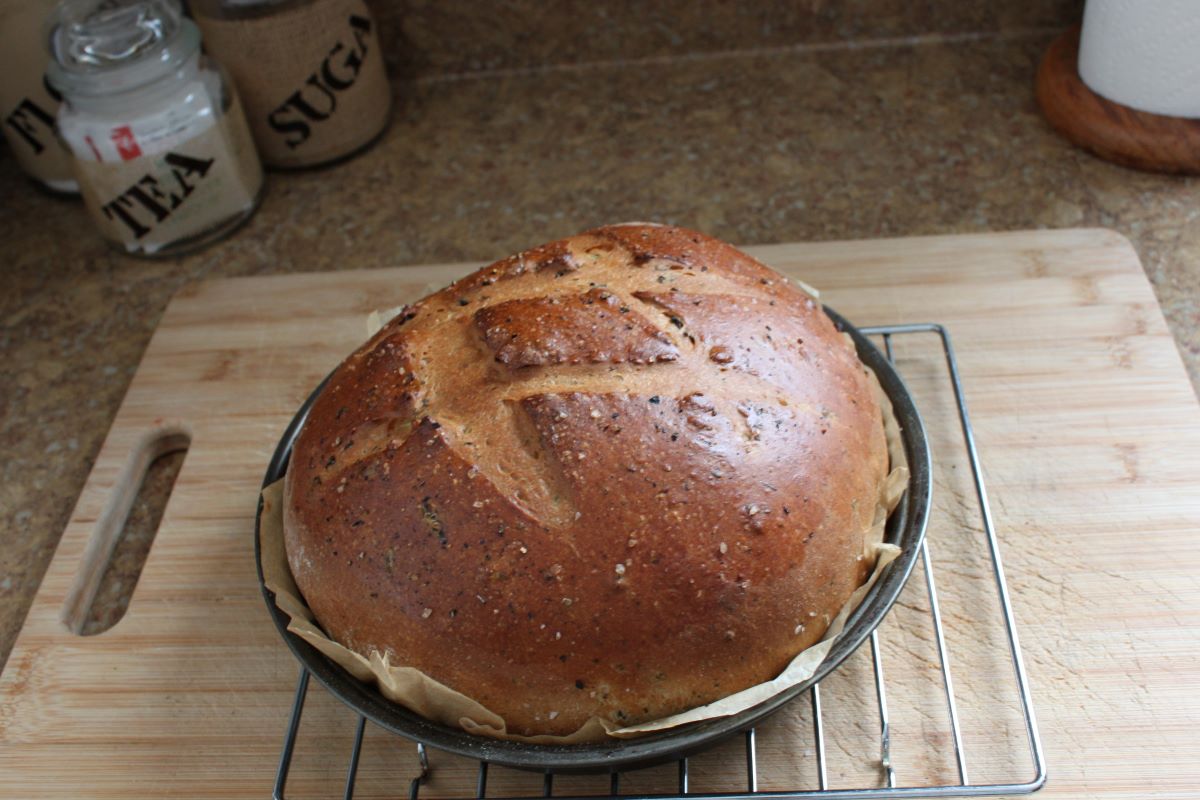 Name:  Olive bread 3.JPG
Views: 3167
Size:  130.0 KB