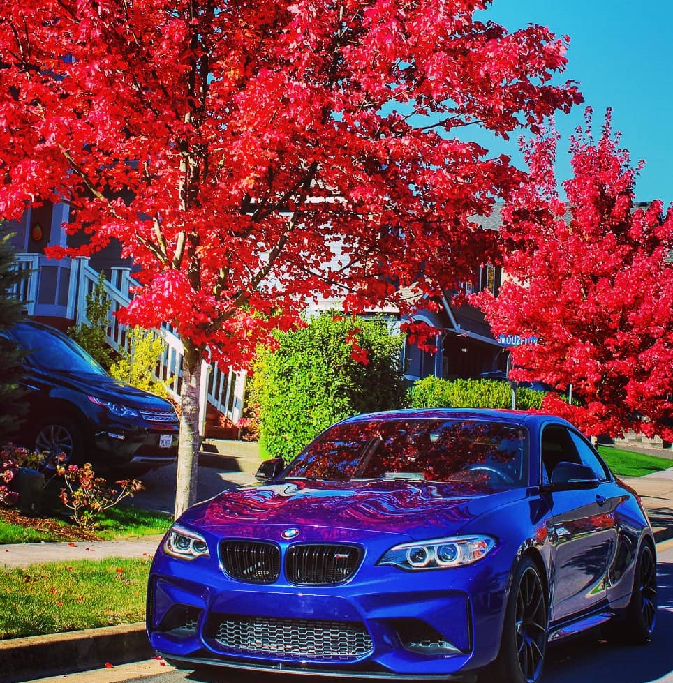 Name:  Bimmerpost Fall Photo.jpg
Views: 3238
Size:  439.0 KB