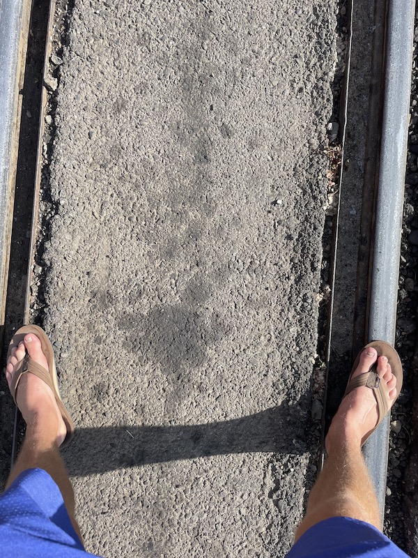 Name:  Narrow Gauge feet.jpeg
Views: 4071
Size:  278.4 KB