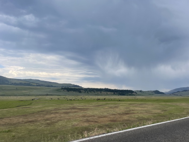 Name:  Lamar Valley 1.jpeg
Views: 3812
Size:  88.6 KB