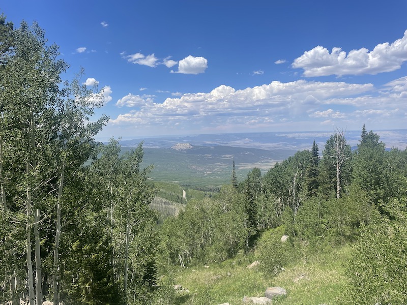 Name:  Grand Mesa Back view.jpeg
Views: 4032
Size:  213.2 KB