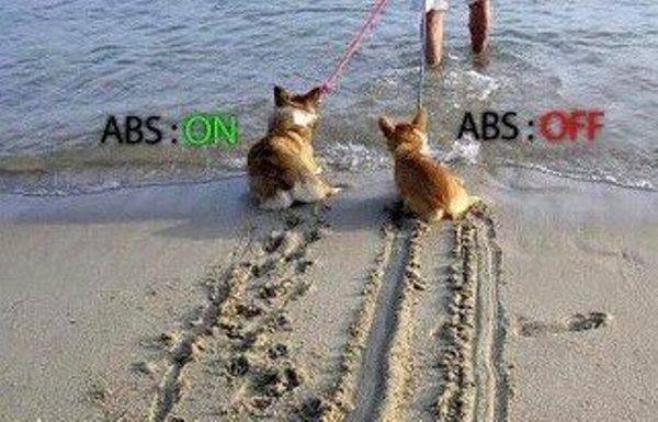 Name:  ABS_On_Off.jpg
Views: 1516
Size:  48.5 KB