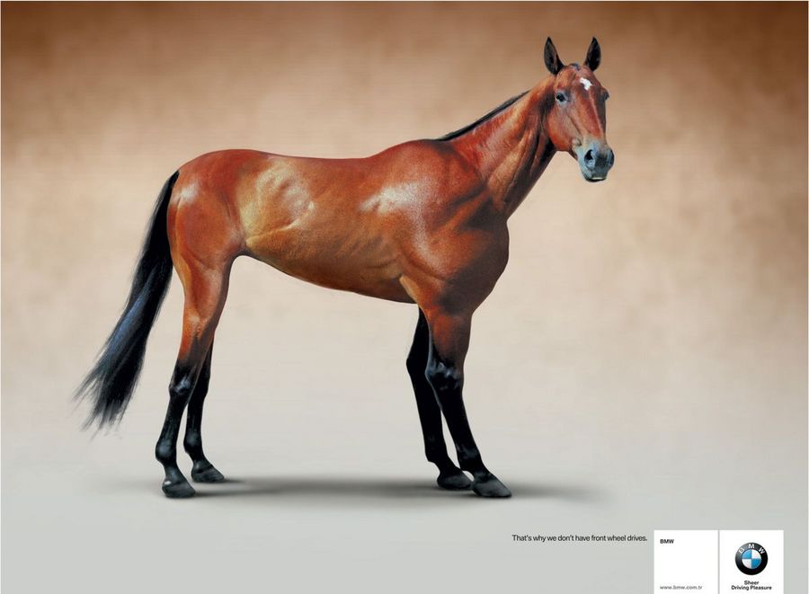 Name:  horse.jpg
Views: 5037
Size:  47.7 KB